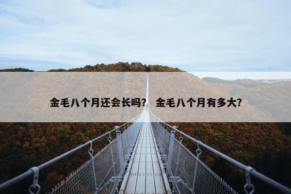 金毛八个月还会长吗？ 金毛八个月有多大？