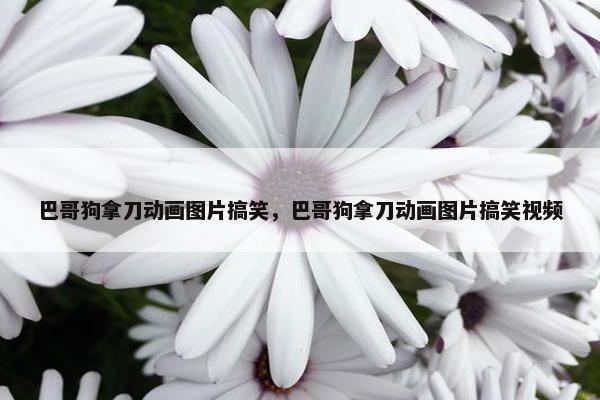巴哥狗拿刀动画图片搞笑，巴哥狗拿刀动画图片搞笑视频