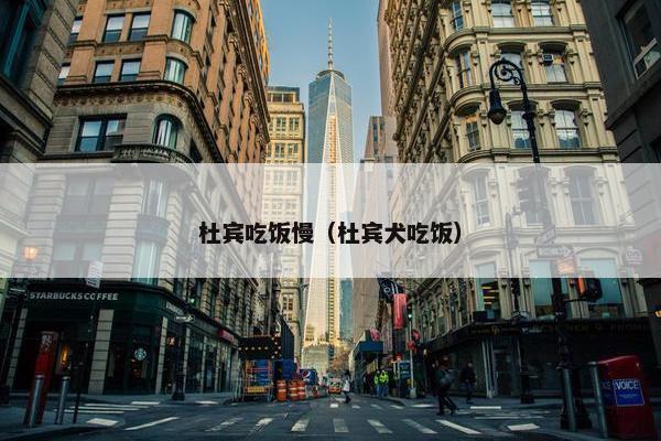 杜宾吃饭慢（杜宾犬吃饭）