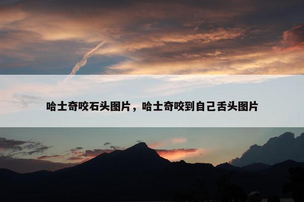 哈士奇咬石头图片，哈士奇咬到自己舌头图片