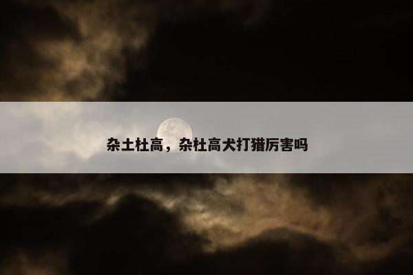 杂土杜高，杂杜高犬打猎厉害吗