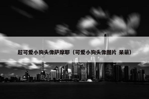 超可爱小狗头像萨摩耶（可爱小狗头像图片 呆萌）