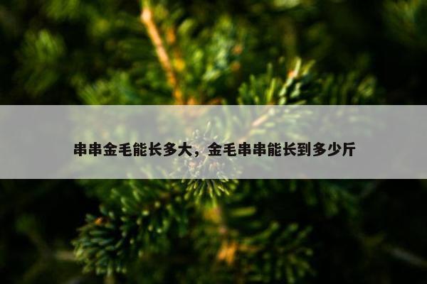 串串金毛能长多大，金毛串串能长到多少斤