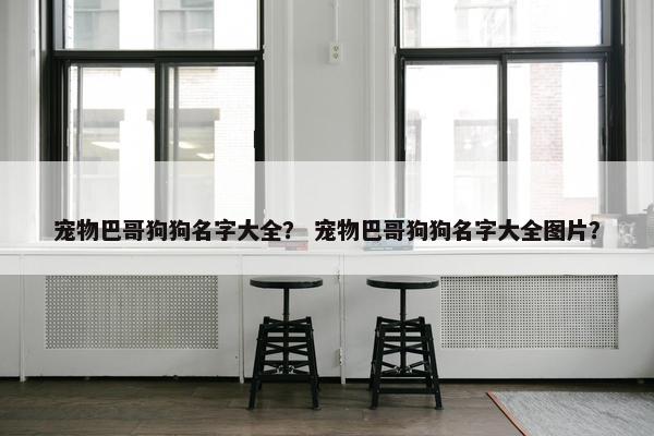 宠物巴哥狗狗名字大全？ 宠物巴哥狗狗名字大全图片？