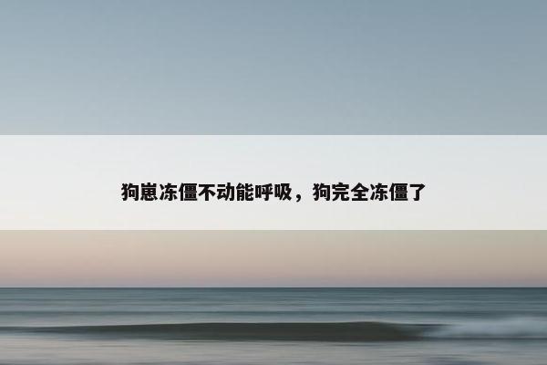 狗崽冻僵不动能呼吸，狗完全冻僵了