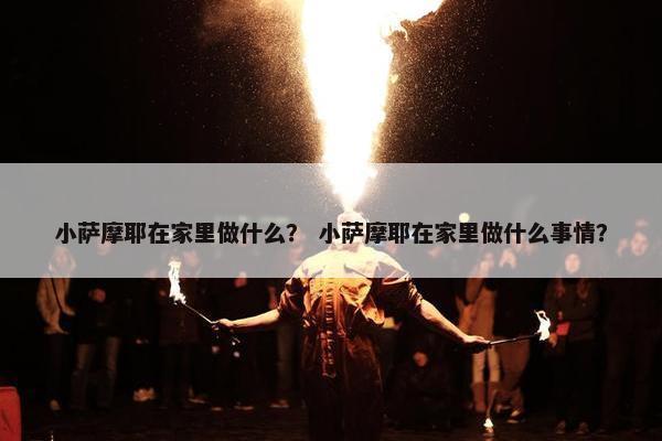 小萨摩耶在家里做什么？ 小萨摩耶在家里做什么事情？