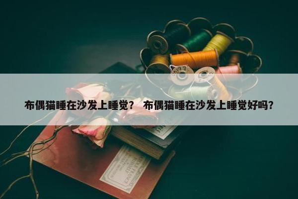 布偶猫睡在沙发上睡觉？ 布偶猫睡在沙发上睡觉好吗？
