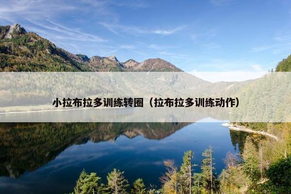 小拉布拉多训练转圈（拉布拉多训练动作）