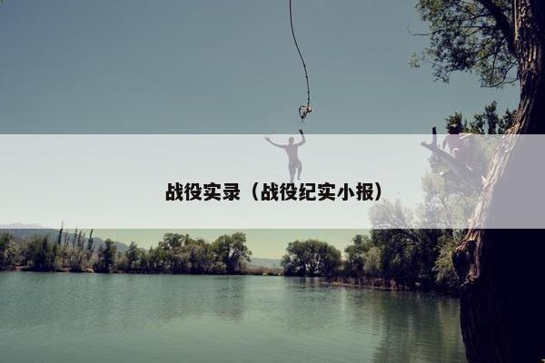 战役实录（战役纪实小报）
