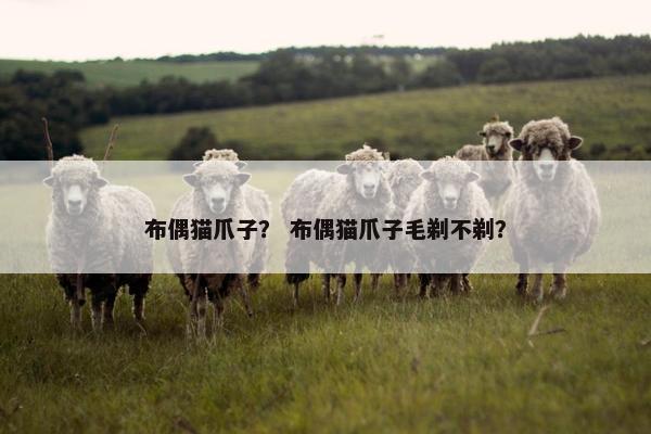 布偶猫爪子？ 布偶猫爪子毛剃不剃？