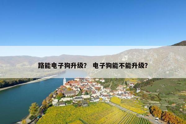 路能电子狗升级？ 电子狗能不能升级？