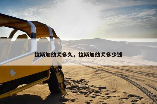 拉斯加幼犬多久，拉斯加幼犬多少钱