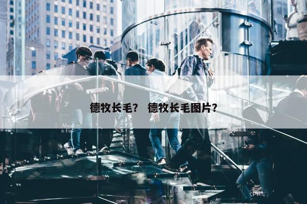 德牧长毛？ 德牧长毛图片？