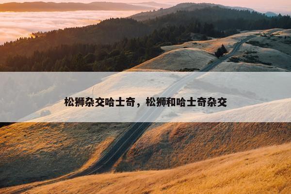 松狮杂交哈士奇，松狮和哈士奇杂交