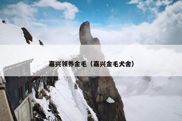 嘉兴领养金毛（嘉兴金毛犬舍）