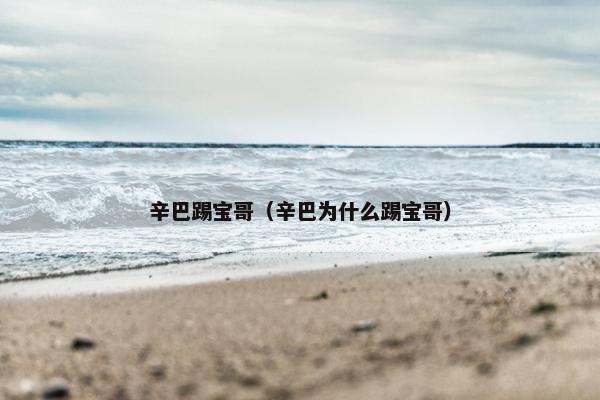 辛巴踢宝哥（辛巴为什么踢宝哥）