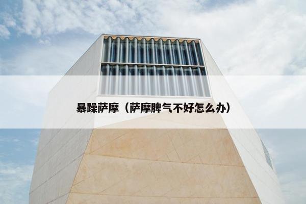暴躁萨摩（萨摩脾气不好怎么办）
