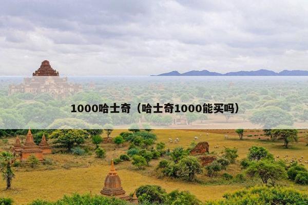 1000哈士奇（哈士奇1000能买吗）