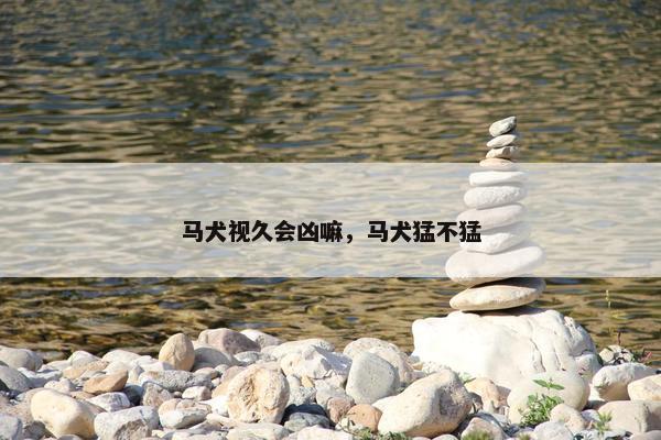 马犬视久会凶嘛，马犬猛不猛