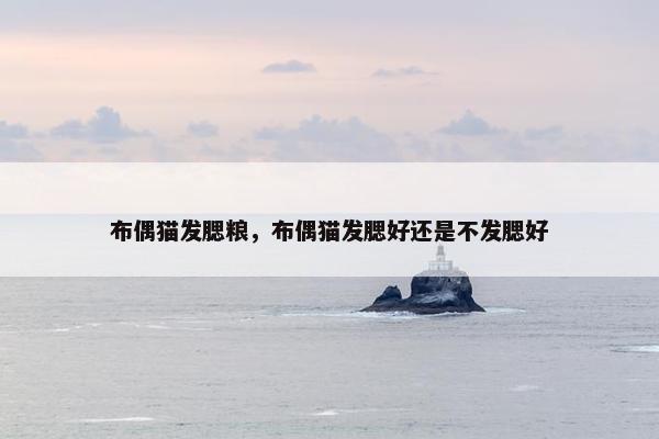布偶猫发腮粮，布偶猫发腮好还是不发腮好