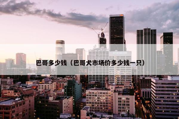 巴哥多少钱（巴哥犬市场价多少钱一只）