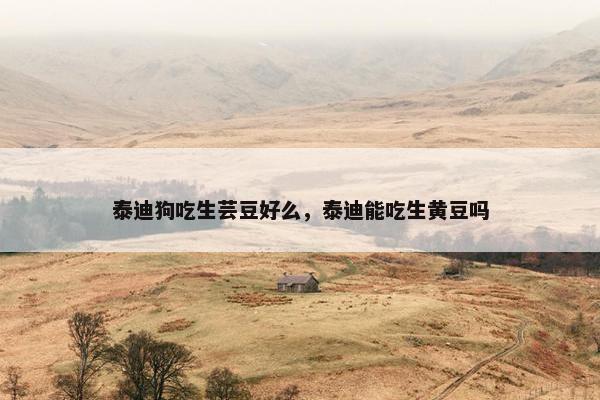 泰迪狗吃生芸豆好么，泰迪能吃生黄豆吗