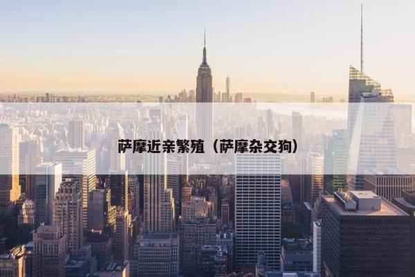 萨摩近亲繁殖（萨摩杂交狗）