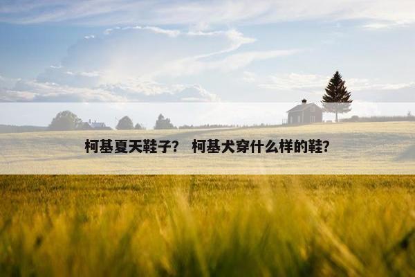 柯基夏天鞋子？ 柯基犬穿什么样的鞋？