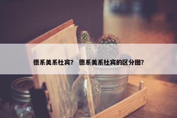 德系美系杜宾？ 德系美系杜宾的区分图？