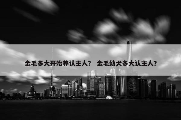 金毛多大开始养认主人？ 金毛幼犬多大认主人？