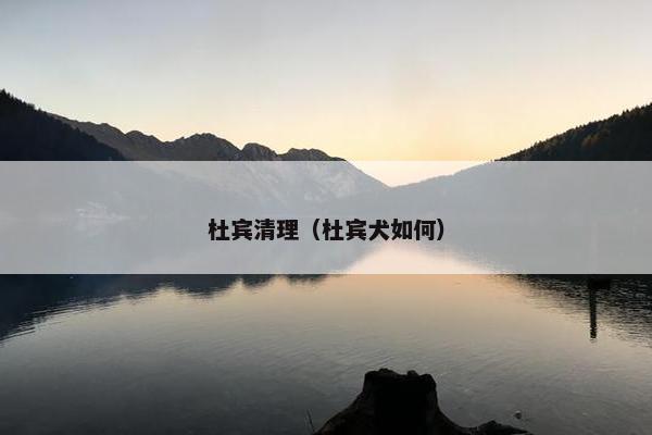 杜宾清理（杜宾犬如何）