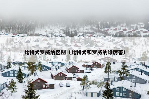 比特犬罗威纳区别（比特犬和罗威纳谁厉害）