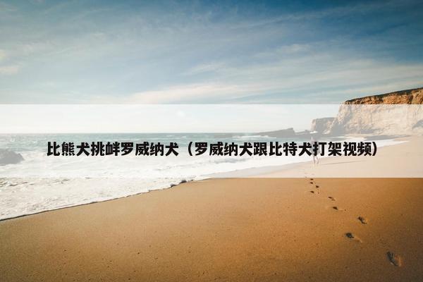比熊犬挑衅罗威纳犬（罗威纳犬跟比特犬打架视频）