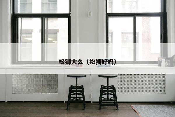 松狮大么（松狮好吗）