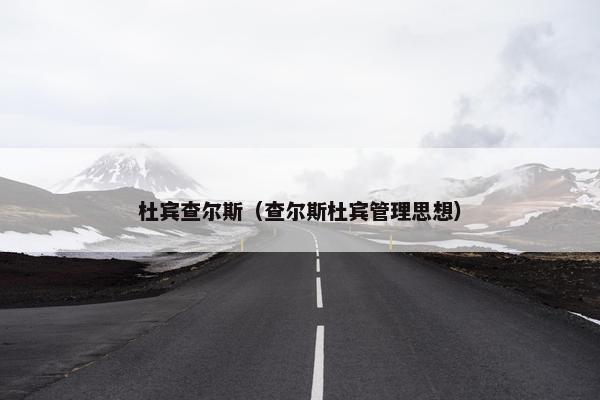 杜宾查尔斯（查尔斯杜宾管理思想）