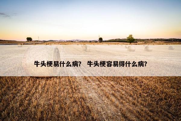 牛头梗易什么病？ 牛头梗容易得什么病？