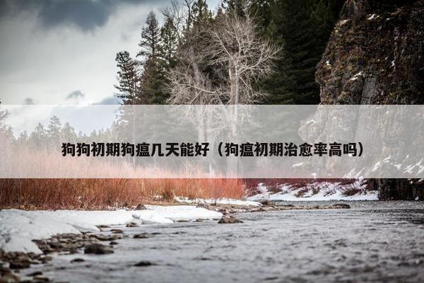 狗狗初期狗瘟几天能好（狗瘟初期治愈率高吗）
