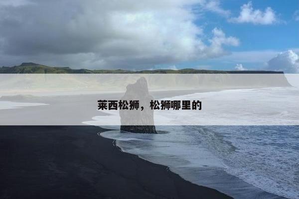 莱西松狮，松狮哪里的