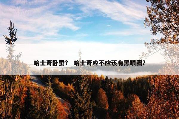 哈士奇卧蚕？ 哈士奇应不应该有黑眼圈？