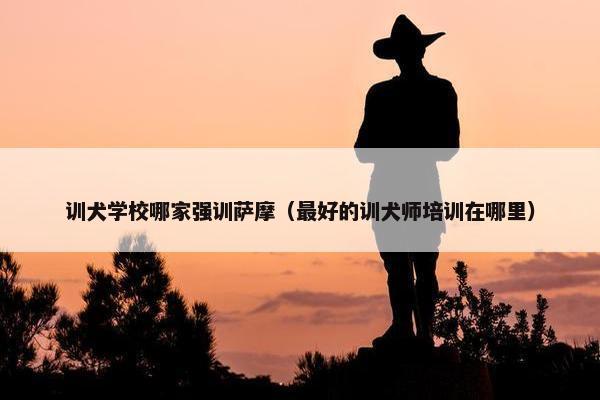 训犬学校哪家强训萨摩（最好的训犬师培训在哪里）