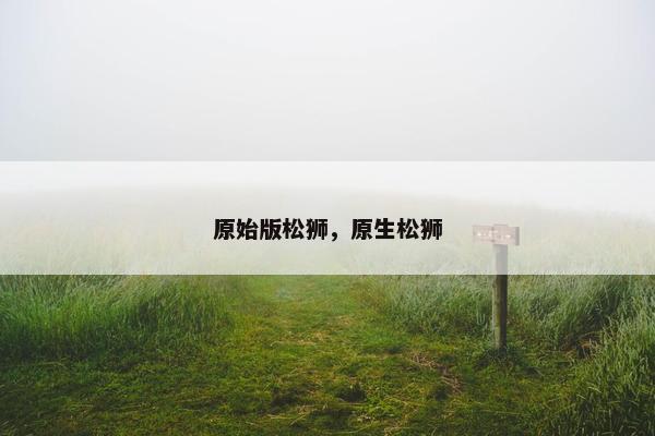 原始版松狮，原生松狮