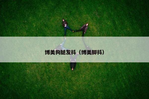 博美狗腿发抖（博美脚抖）