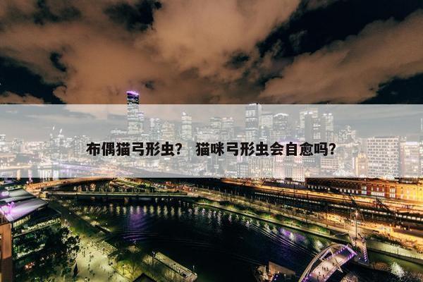 布偶猫弓形虫？ 猫咪弓形虫会自愈吗？