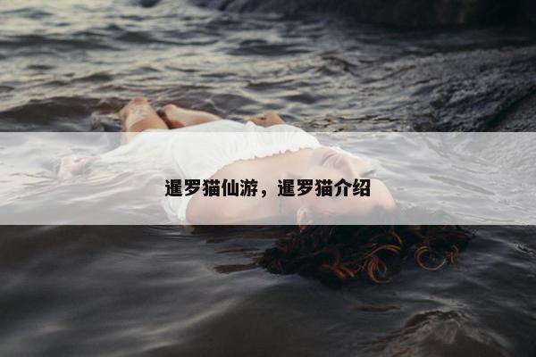 暹罗猫仙游，暹罗猫介绍