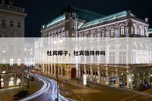 杜宾椰子，杜宾值得养吗