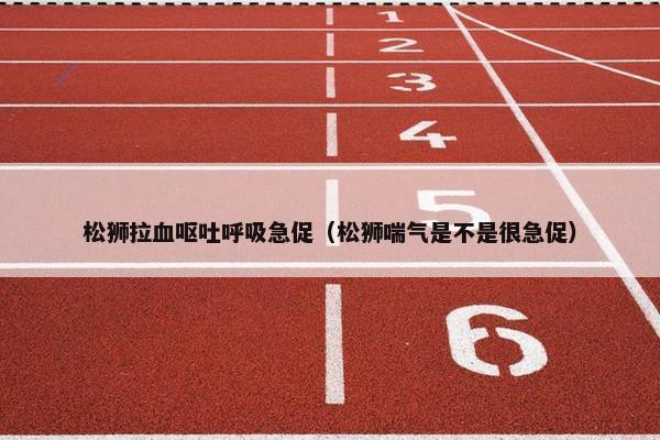松狮拉血呕吐呼吸急促（松狮喘气是不是很急促）