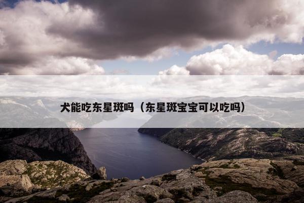 犬能吃东星斑吗（东星斑宝宝可以吃吗）