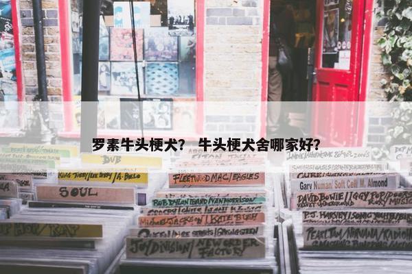 罗素牛头梗犬？ 牛头梗犬舍哪家好？