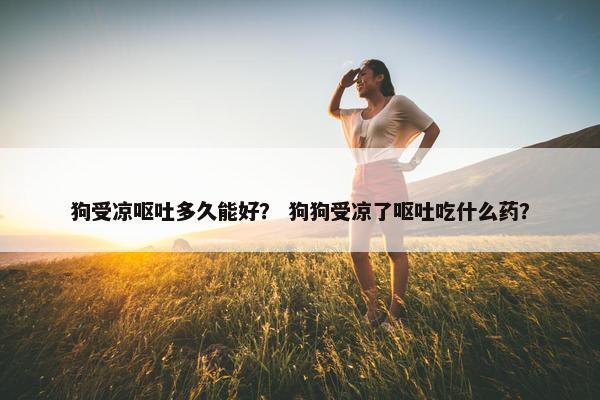 狗受凉呕吐多久能好？ 狗狗受凉了呕吐吃什么药？