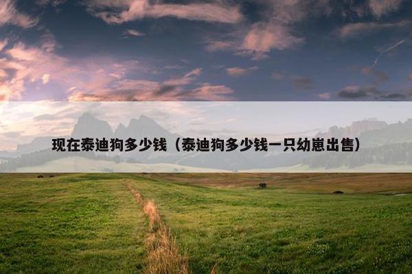现在泰迪狗多少钱（泰迪狗多少钱一只幼崽出售）